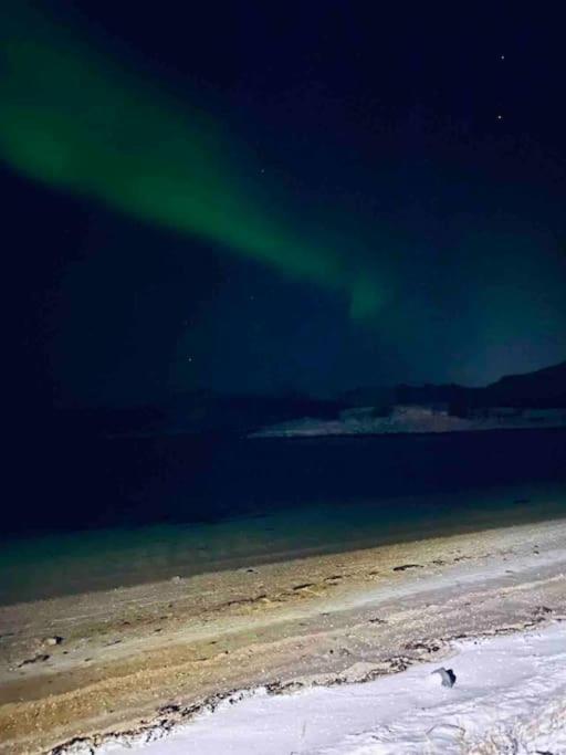 Holiday Home With Sauna In The Arctic Caribbean, Tromsø Exteriör bild