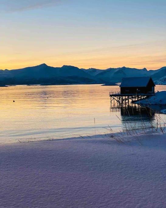 Holiday Home With Sauna In The Arctic Caribbean, Tromsø Exteriör bild
